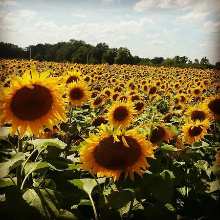 Le Moulin De Follet 3*