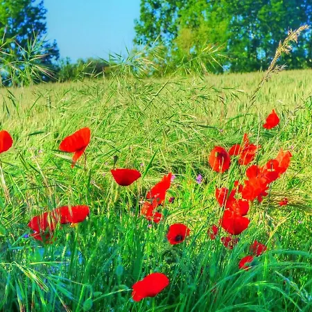 Bed & Breakfast Le Moulin De Follet