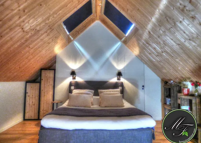 Le Moulin De Follet 3* Fougere (Maine-et-Loire)