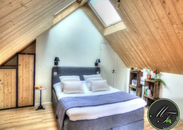 Le Moulin De Follet Nocleg ze śniadaniem Fougere (Maine-et-Loire)