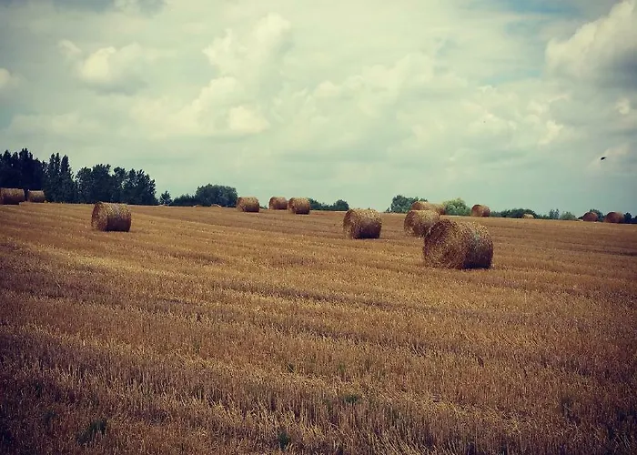 Alojamento de Acomodação e Pequeno-almoço Le Moulin De Follet 3*