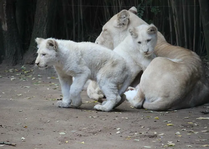 Le Moulin De Follet Alojamento de Acomodação e Pequeno-almoço